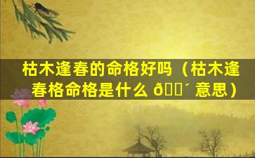 枯木逢春的命格好吗（枯木逢春格命格是什么 🐴 意思）